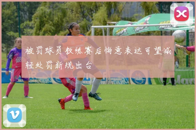 被罚球员教练赛后悔意表达可望减轻处罚新规出台