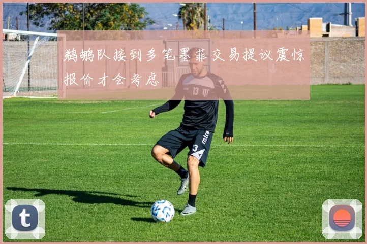 鹈鹕队接到多笔墨菲交易提议震惊报价才会考虑